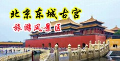 大黑屌操小黑逼视频中国北京-东城古宫旅游风景区